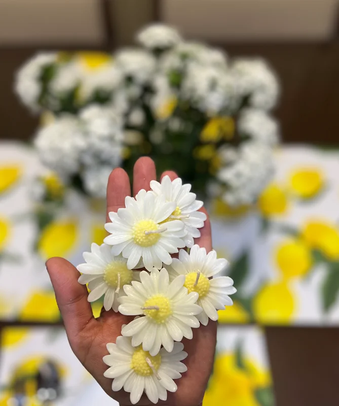 شمع گل بابونه